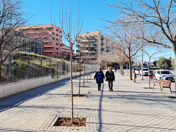 Ayuntamiento de Toledo Continúan las plantaciones en el barrio del Polígono con 198 árboles y más de 1.100 arbustos en diferentes puntos y zonas