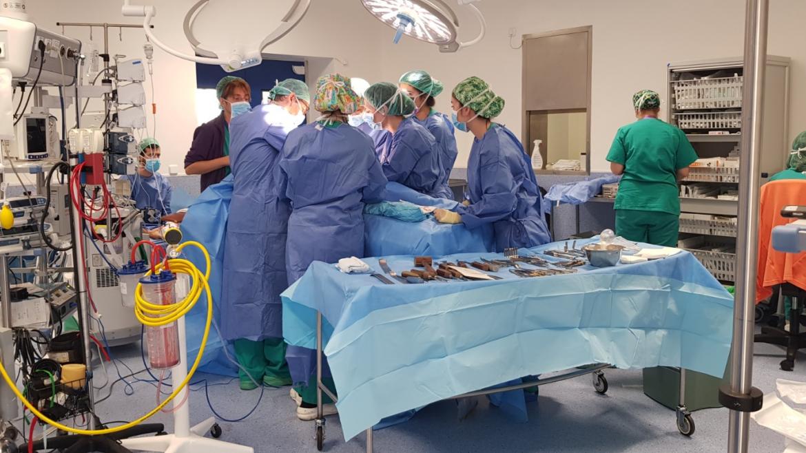 Especialistas del Hospital 12 de Octubre participan en el primer estudio de pacientes con fisura labiopalatina mediante escáner intraoral 3D
