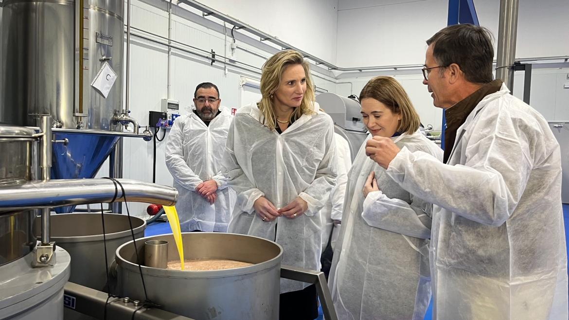 La Comunidad espera que la UE reconozca esta primavera al aceite de Madrid como Denominación de Origen Protegida