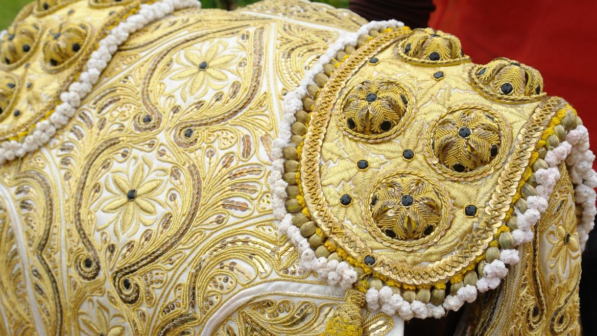 La Comunidad de Madrid aprueba 1,4 millones para potenciar la tauromaquia con la Fiesta del Toro