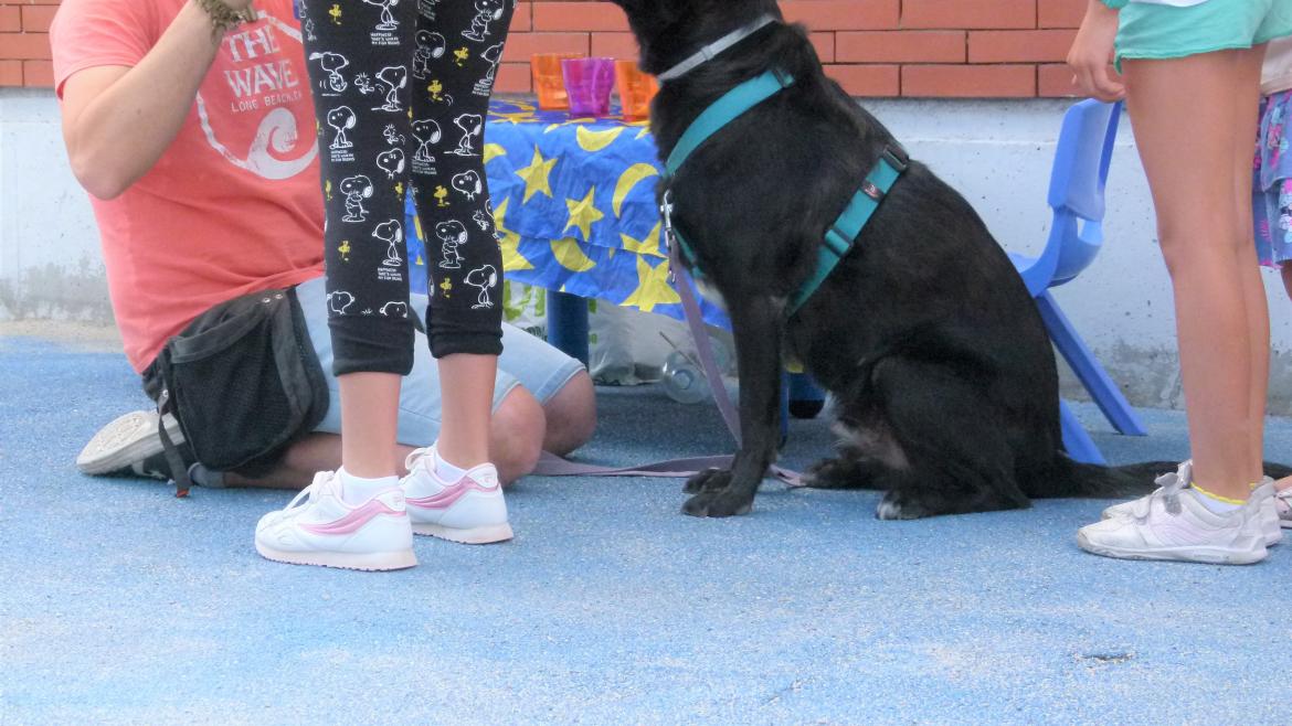 La Comunidad de Madrid invierte más de 700.000 euros en el Centro Integral de Acogida de Animales