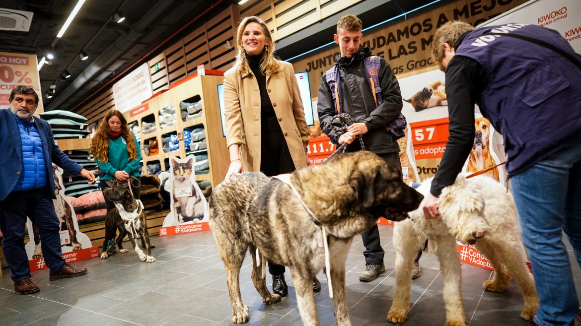 La Comunidad de Madrid presenta la campaña Conóceme y Adóptame para concienciar sobre la acogida de perros y gatos abandonados