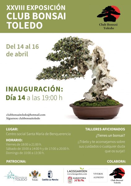 Ayuntamiento de Toledo Nueva muestra del Club Bonsái Toledo en el Centro Social del Polígono