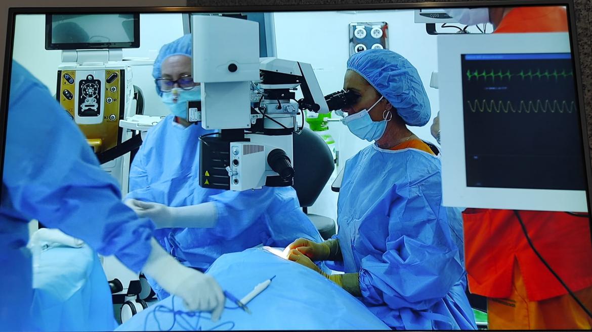 El Hospital de Fuenlabrada celebra un curso de Cirugía Oculoplástica con intervenciones en directo