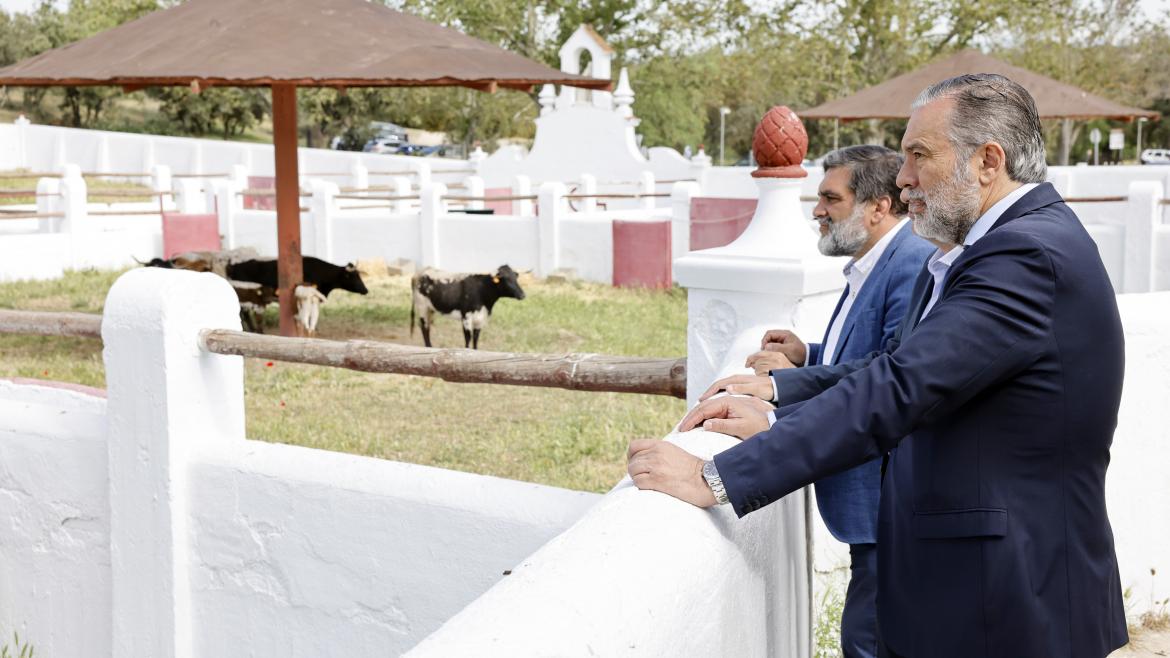 La Comunidad de Madrid estrena en la Venta del Batán la I Feria de Ganaderías de reses bravas con múltiples actividades culturales