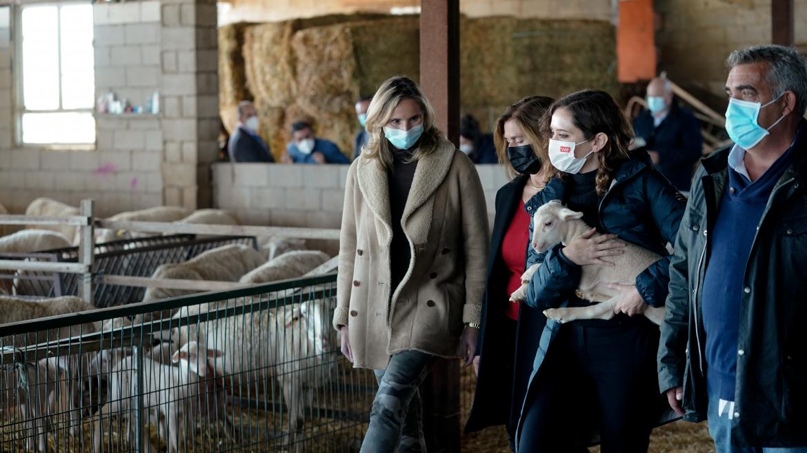 Díaz Ayuso exige al Gobierno soluciones a ganaderos y agricultores ante su situación crítica