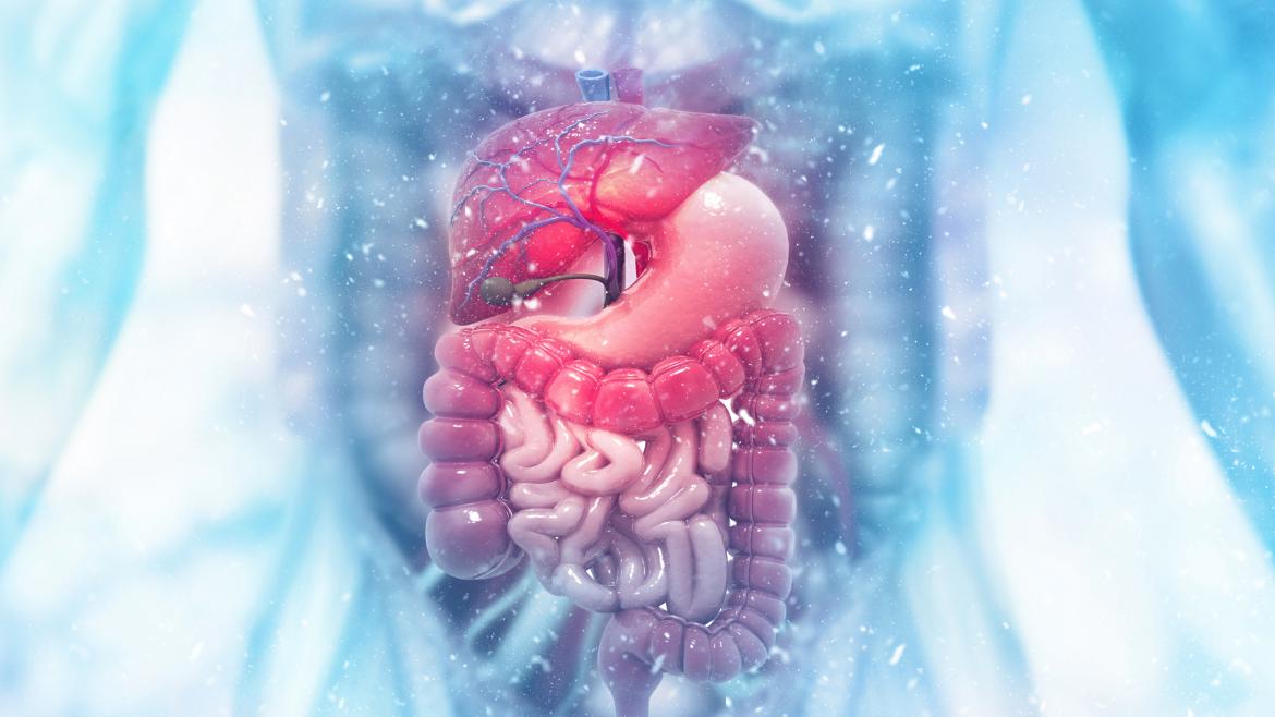 El Hospital Universitario de Fuenlabrada incorpora un nuevo sistema de inteligencia artificial para la detección de pólipos digestivos