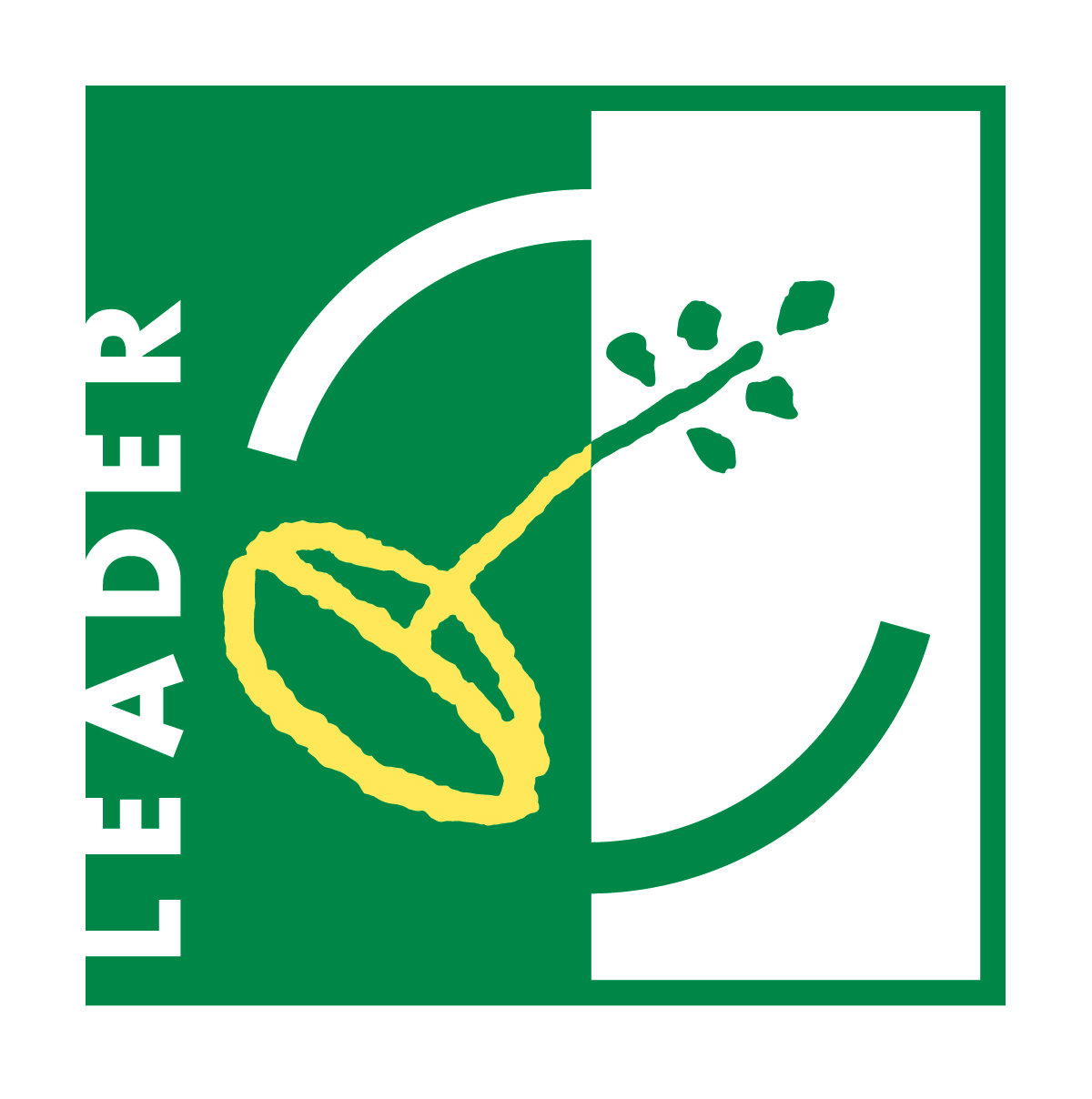 LEADER Diru laguntza - Noticias