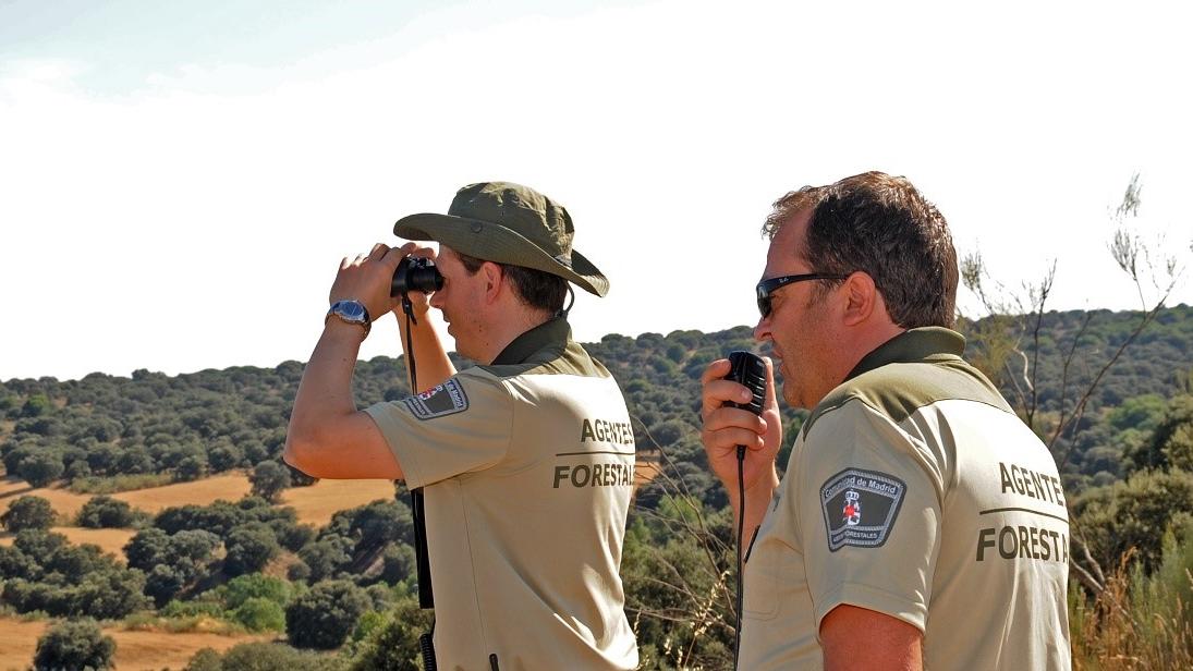 La Comunidad de Madrid refuerza la prevención frente al fuego en el medio natural con un operativo especial para reducir riesgos por la pelusa del chopo