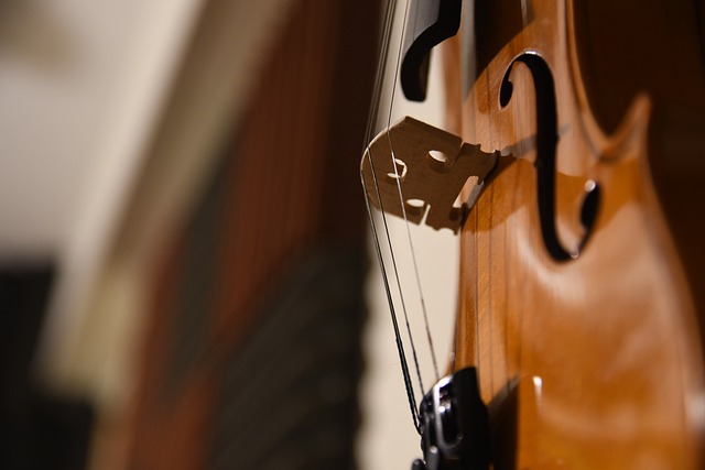 Abierto el plazo de inscripción para la Escuela de Música 2023