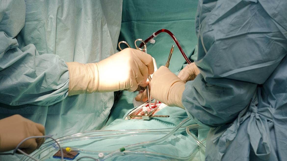El Hospital Gregorio Marañón supera en 2022 las cifras de donantes y de trasplantes hepáticos y renales