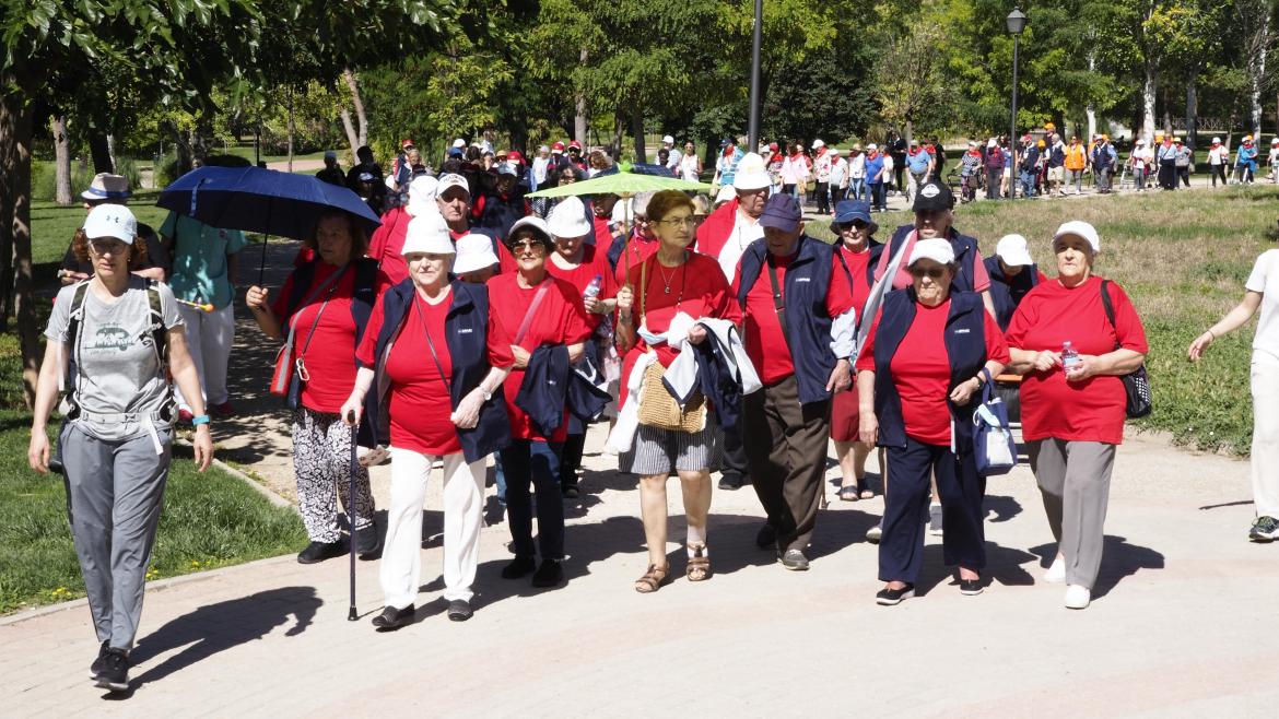La Comunidad de Madrid celebra la X Marcha de Mayores con casi 600 participantes de 25 residencias públicas