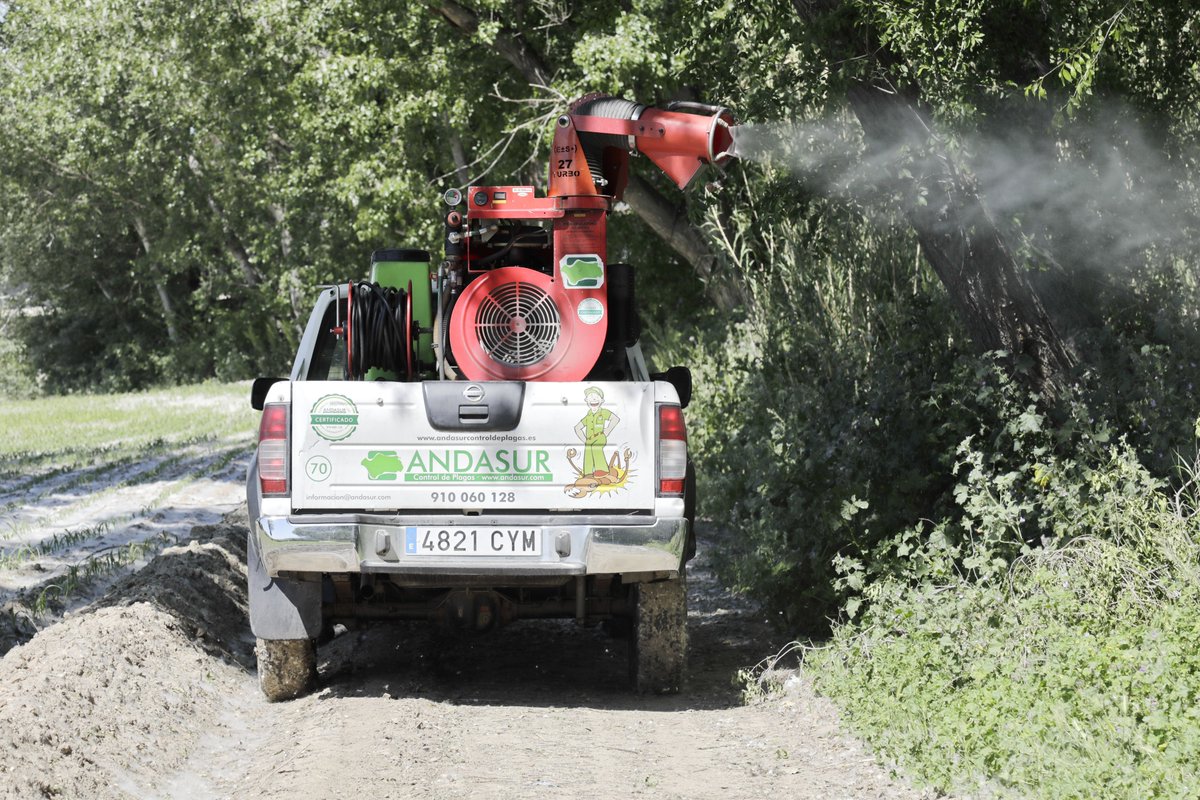 Se intensifica la campaña contra los mosquitos y la mosca negra