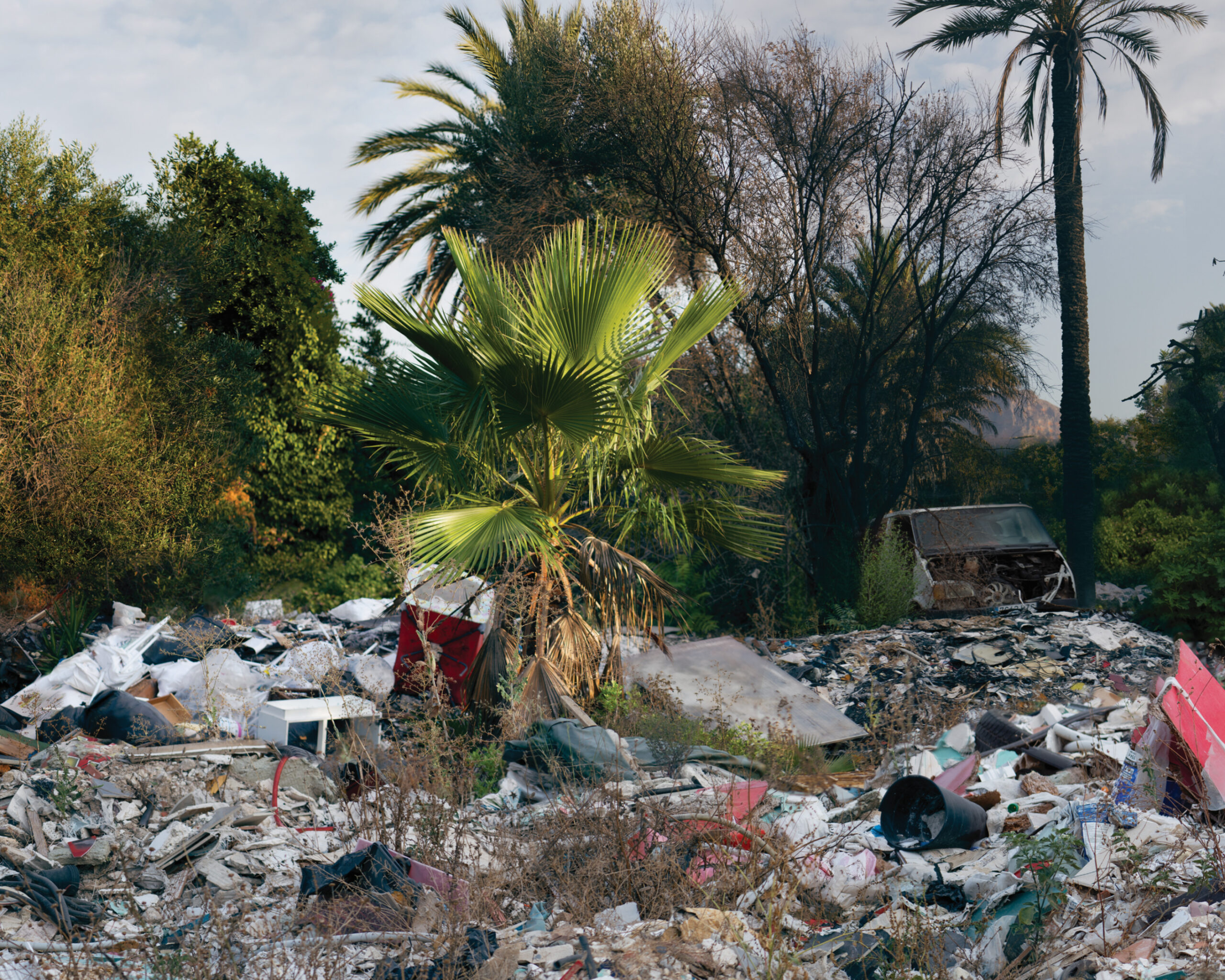 Fallados los premios del XXIII Certamen de Fotografía “Ciudad de Tomelloso 2023”