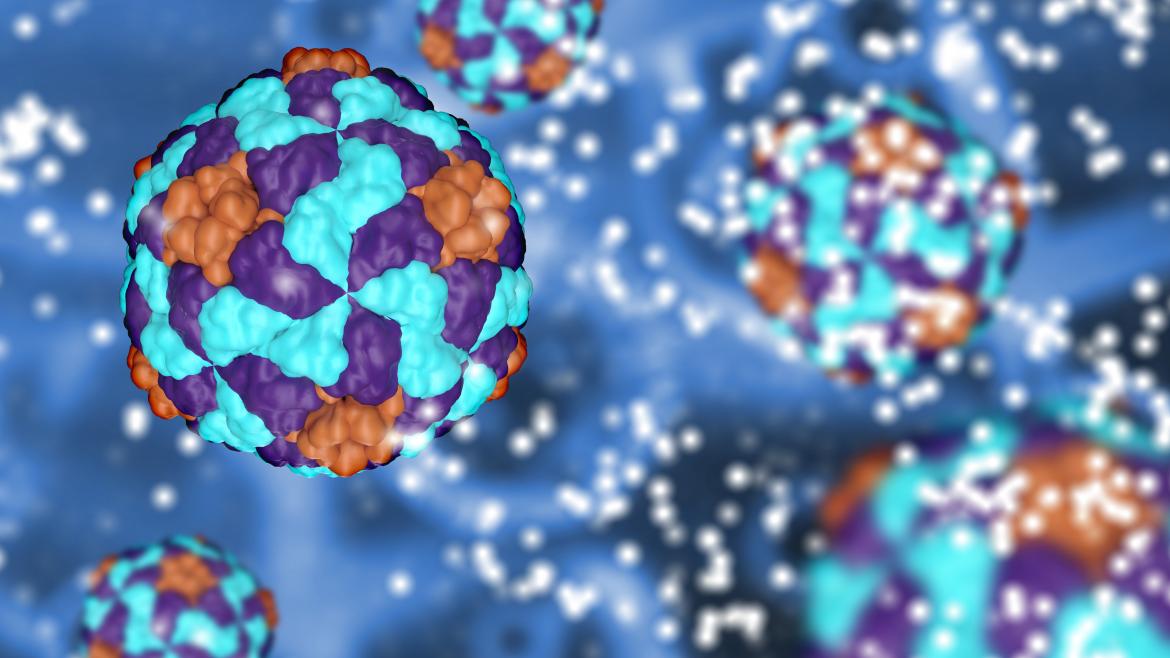 Más de 1.400 pacientes han superado la hepatitis en el Hospital Universitario de La Princesa
