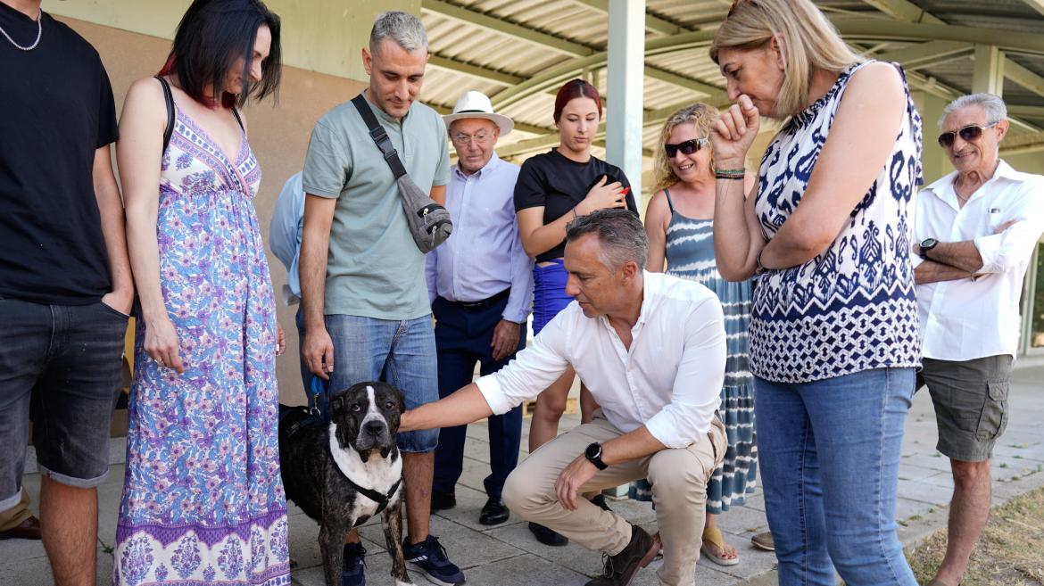 La Comunidad de Madrid reduce en casi 300 los abandonos de perros y gatos en el primer semestre del año