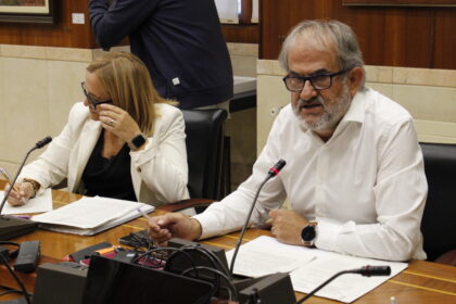 Sitio web del Ayuntamiento de Vitoria-Gasteiz