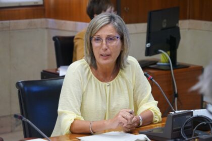 Sitio web del Ayuntamiento de Vitoria-Gasteiz