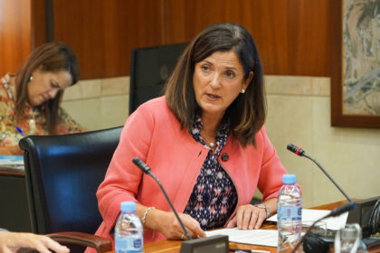 Sitio web del Ayuntamiento de Vitoria-Gasteiz