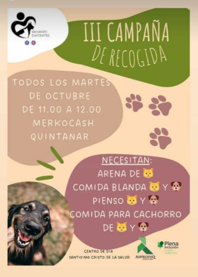 III Campaña de recogida de Salvando Inocentes