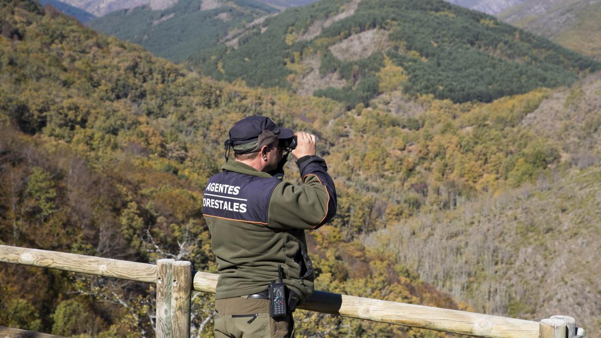 La Comunidad de Madrid invierte más de medio millón de euros en la Central de Comunicaciones del Cuerpo de Agentes Forestales