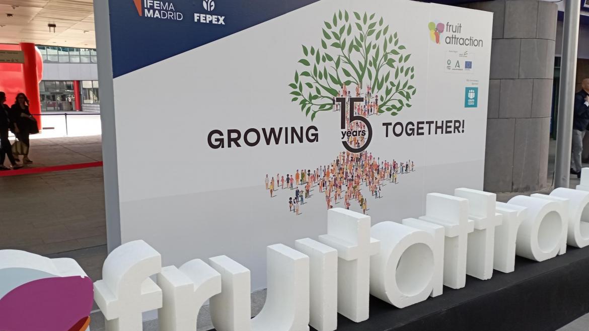 La Comunidad de Madrid, epicentro del comercio de frutas y hortalizas
