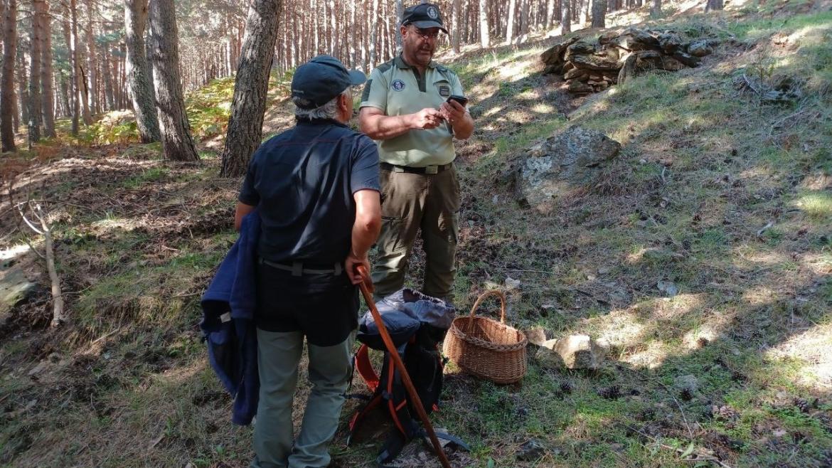 La Comunidad de Madrid recuerda la obligación de cumplir la normativa ambiental en las actividades micológicas