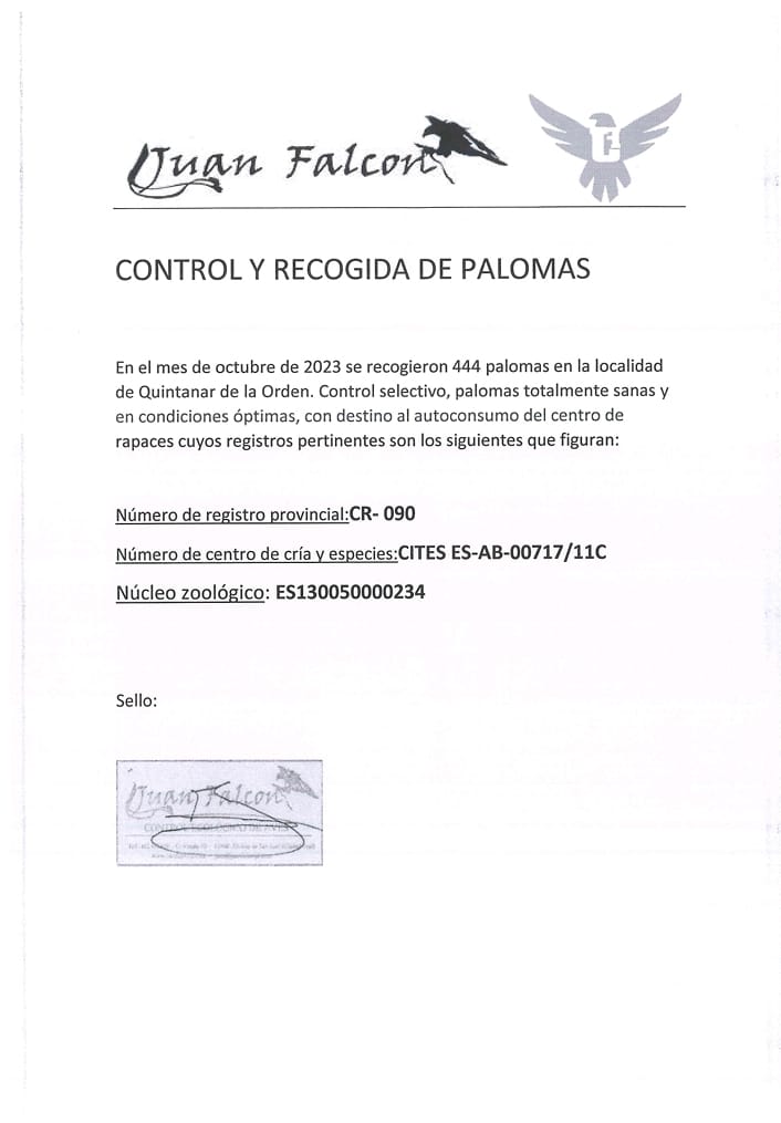 Continúa el control y recogida de palomas en Quintanar de la Orden