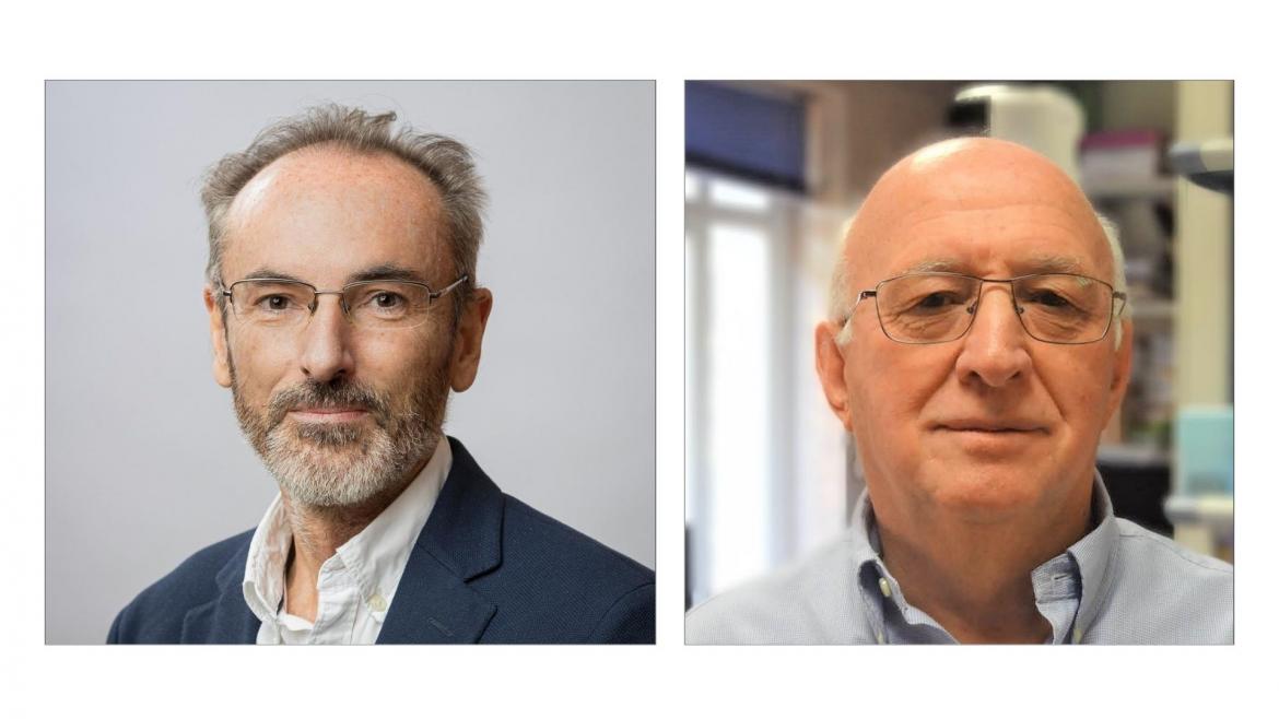 Dos investigadores del Hospital de La Princesa entre los 125 mejores de España, según la última clasificación del CSIC