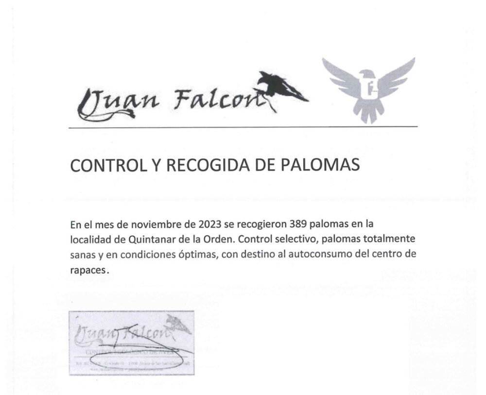 En el mes de noviembre se recogieron 389 palomas en Quintanar de la Orden