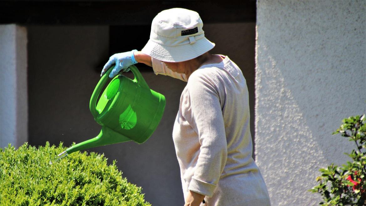 Entrega de premios de los concursos de huertos y jardines para residencias y centros de día de mayores