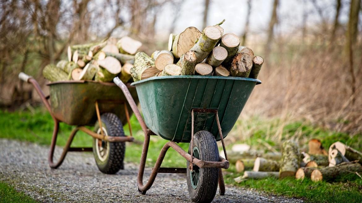 La Comunidad de Madrid elabora recomendaciones para la corta y poda de madera y leñas en montes para aprovechamiento doméstico