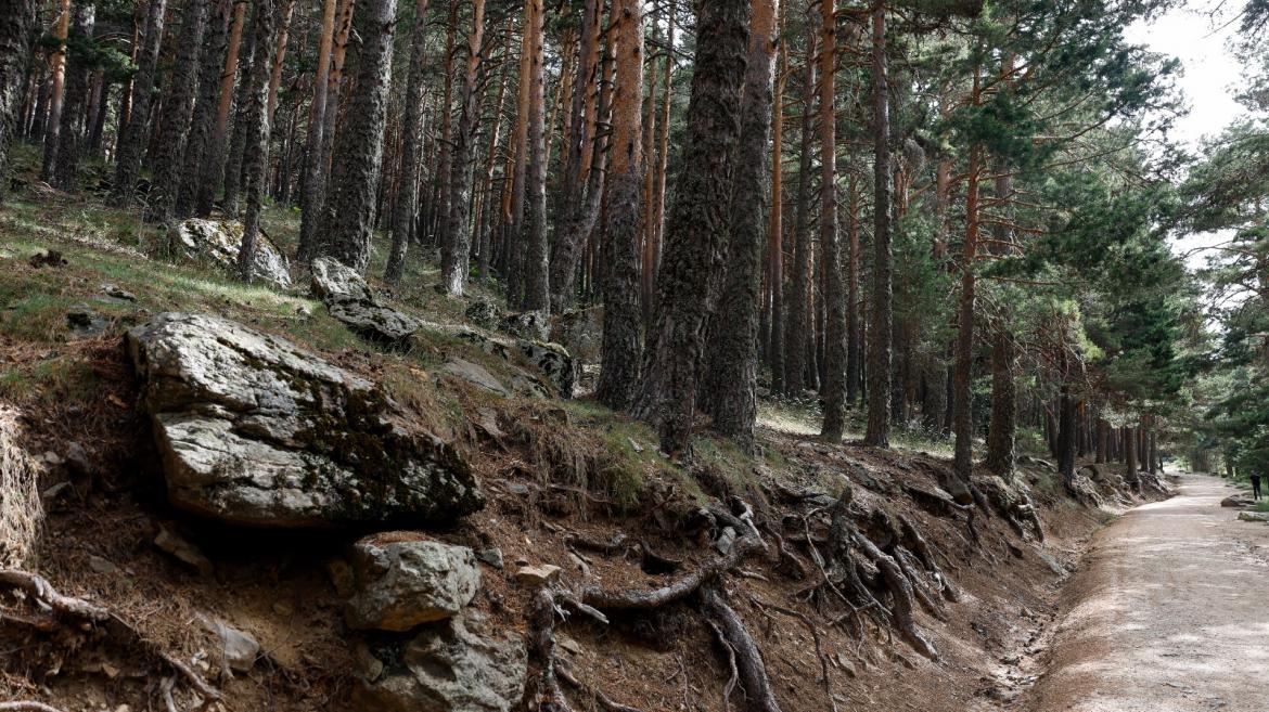 La Comunidad de Madrid finalizará en 2024 el trazado del corredor medioambiental Arco Verde con 200 nuevos kilómetros de zonas naturales