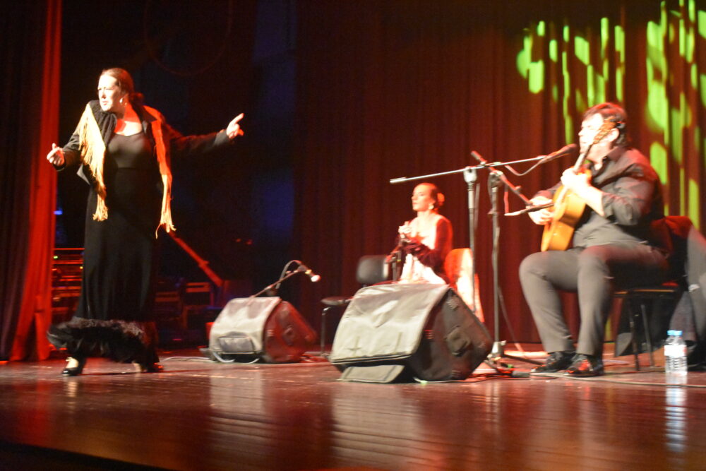 Soberbio concierto de Ricardo Fernández del Moral en Quintanar de la Orden