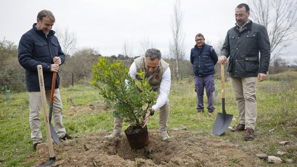 La Comunidad de Madrid planta el árbol 150.000 del corredor medioambiental Arco Verde