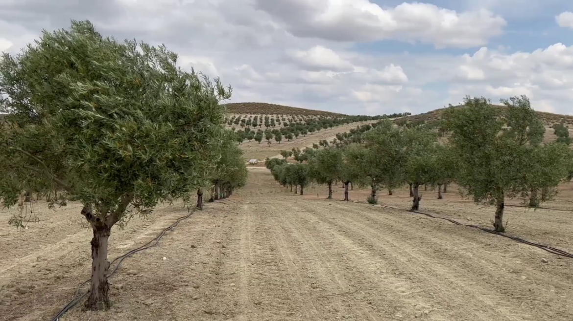La Comunidad de Madrid realiza el pago del 90% de las ayudas de la reforma de la Política Agraria Común de la UE a más de 2.800 agricultores y ganaderos