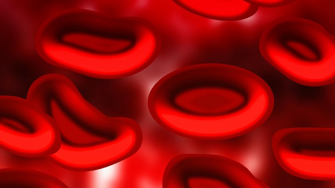 El Hospital Príncipe de Asturias recibe el premio INNOVA-H por el mejor proyecto nacional de innovación en Hematología