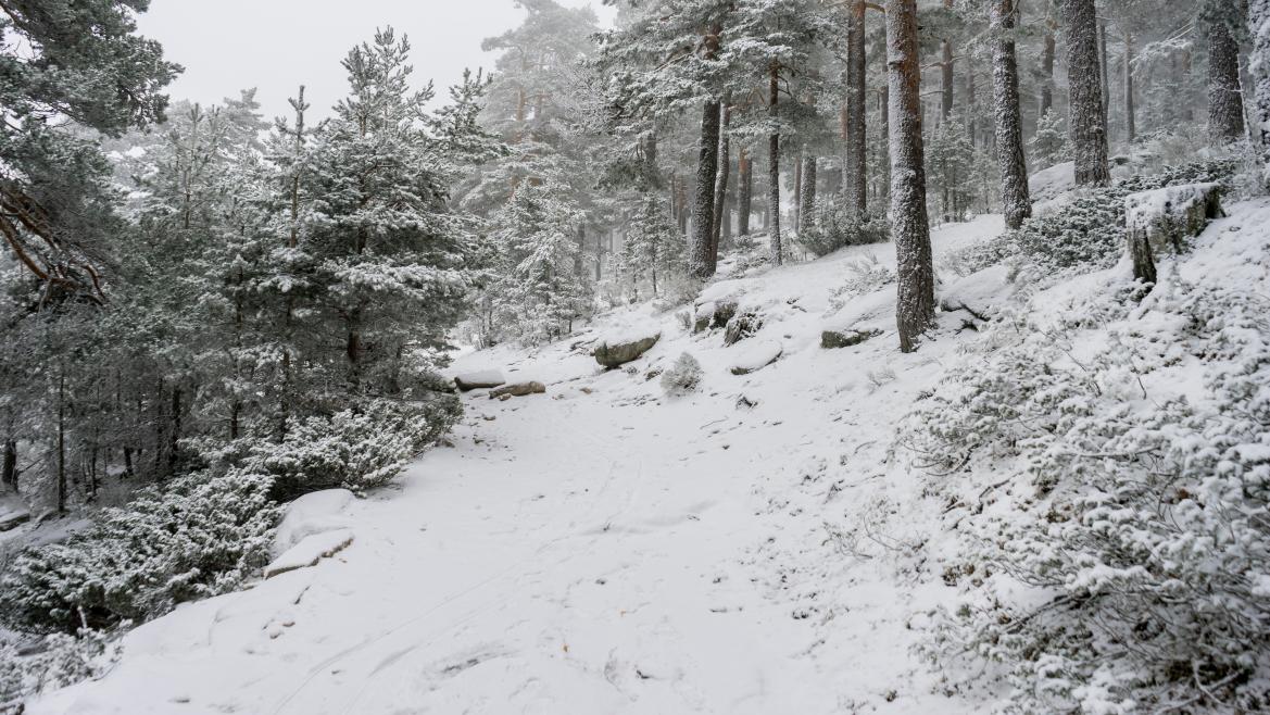 La Comunidad de Madrid pide prudencia y responsabilidad a los ciudadanos que visiten la sierra este fin de semana