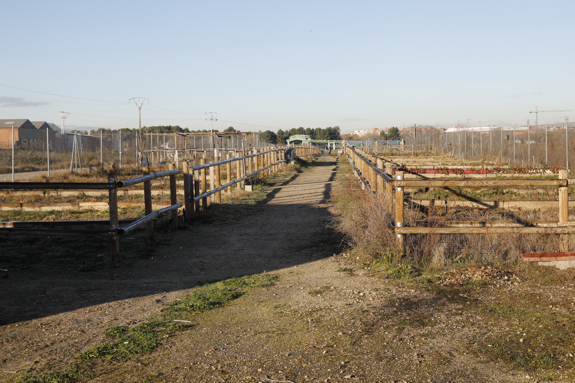 Nueva convocatoria para los huertos urbanos ecológicos de Los Molinos