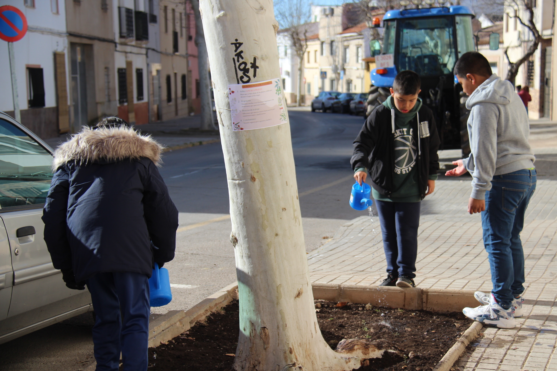 El alumnado del CEIP Jesús Ruiz realiza la siembra de alcorques como parte del proyecto ‘Alcorques Verdes’