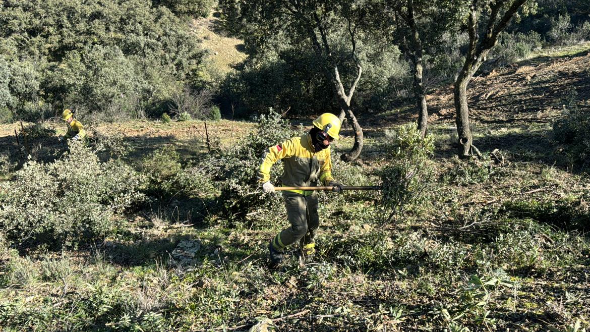 La Comunidad de Madrid despliega 25 retenes forestales y más 300 efectivos para la prevención de incendios