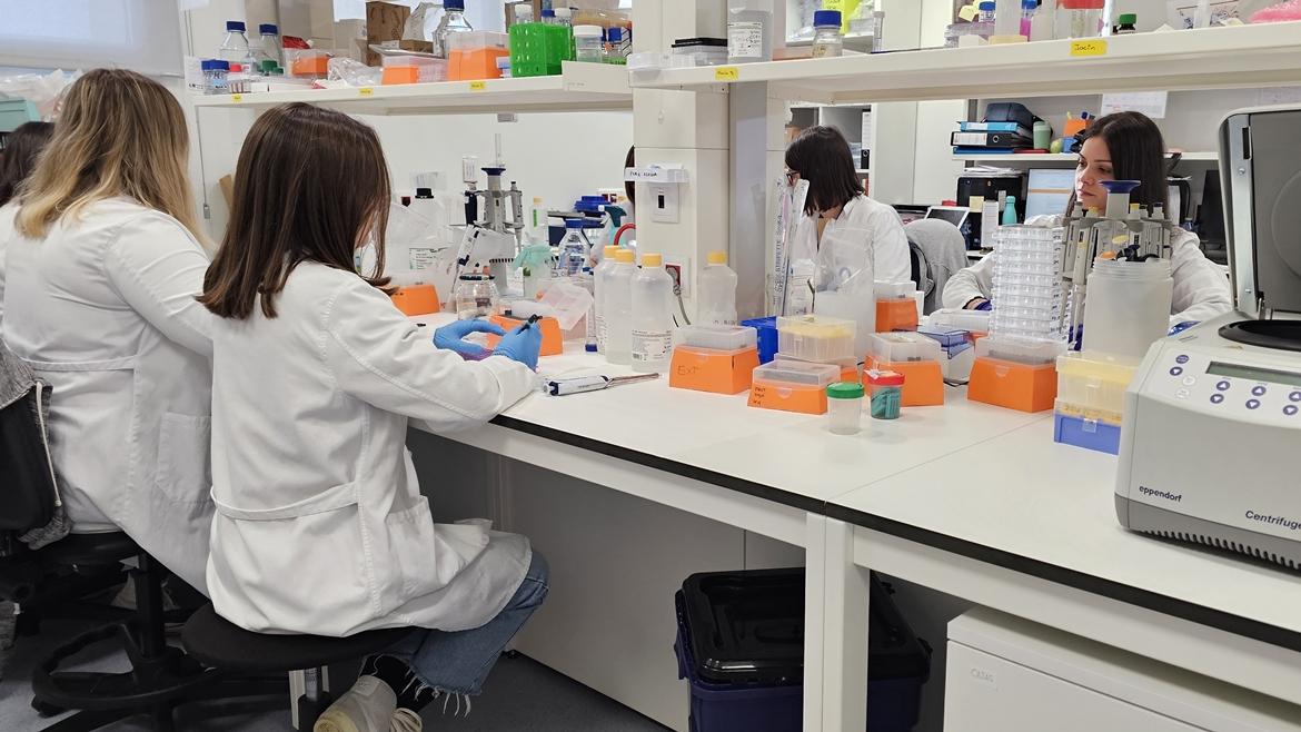 Oncología Médica del Hospital 12 de Octubre celebra 50 años como referente nacional e internacional en la atención clínica del cáncer