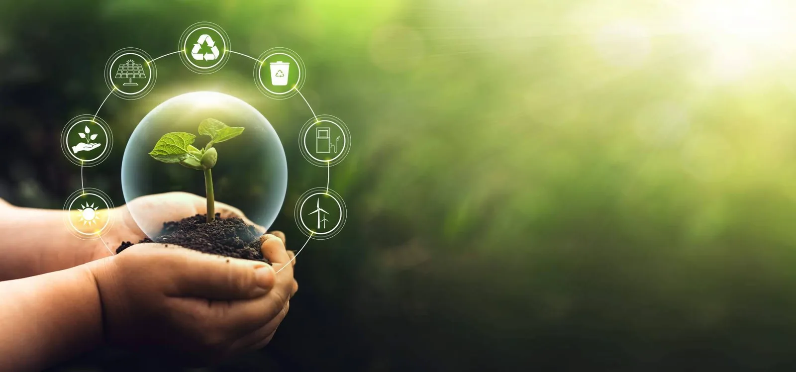 Cómo calcular las emisiones corporativas con el estándar ISO 14064 y herramientas de gestión digital