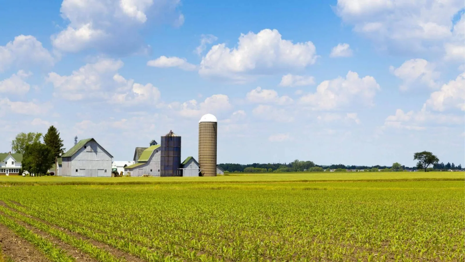 Derecho agroalimentario; el reto jurídico que ya preocupa a las empresas del sector