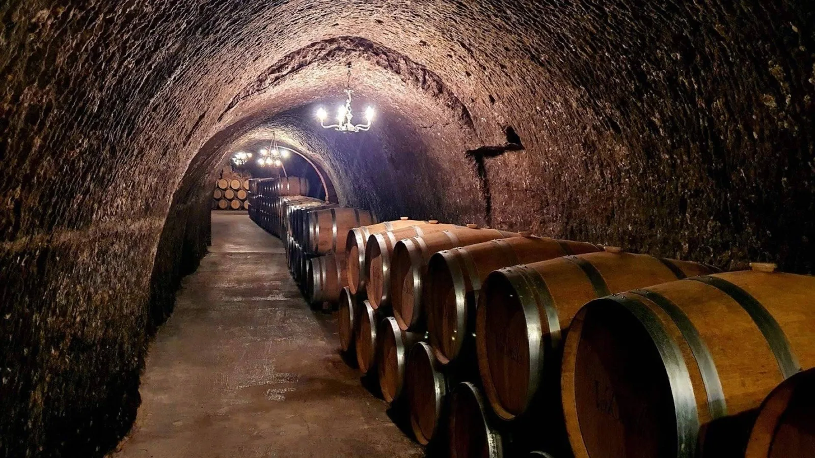 Tour de vinos frente a una ruta por cuenta propia; las diferencias que cambian la experiencia